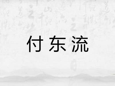 付东流