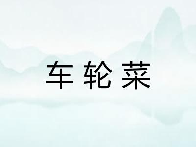 车轮菜