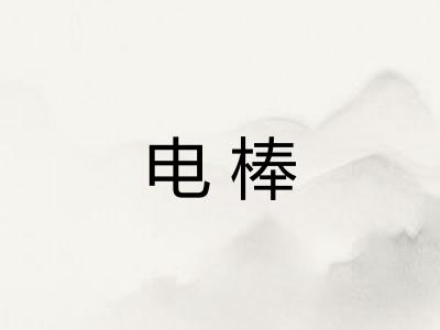 电棒
