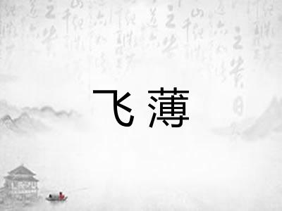 飞薄