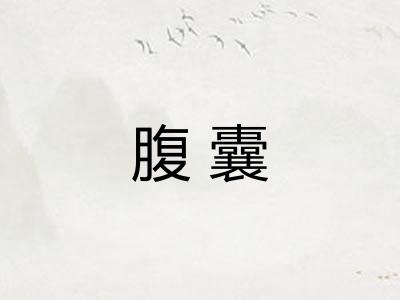 腹囊