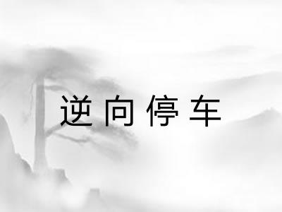 逆向停车