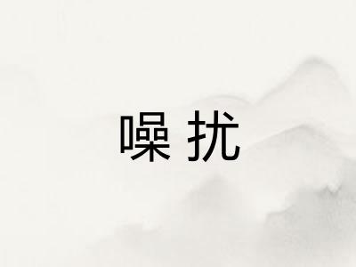 噪扰