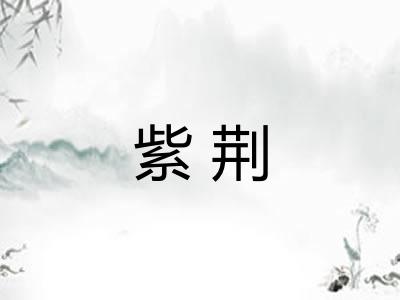 紫荆