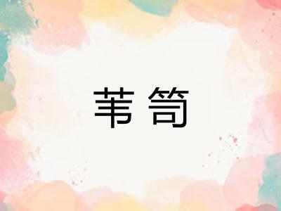 苇笥