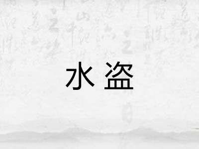 水盗