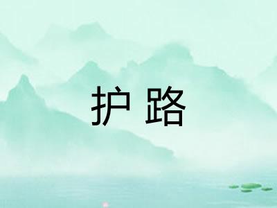 护路
