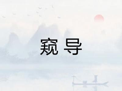 窥导