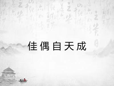 佳偶自天成