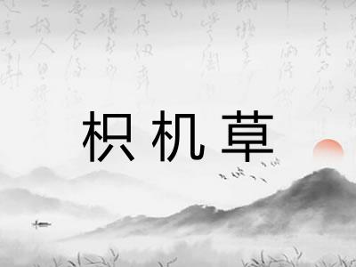 枳机草