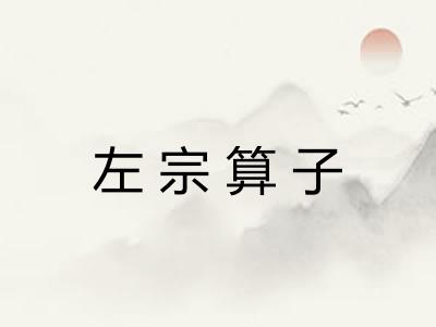 左宗算子