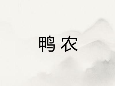 鸭农