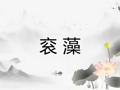 衮藻
