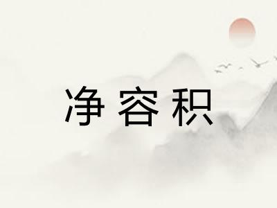 净容积