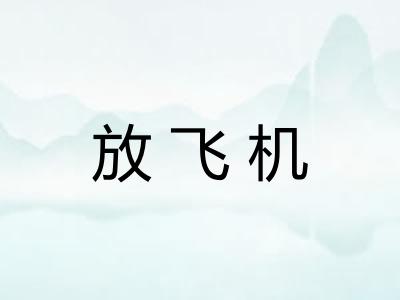 放飞机