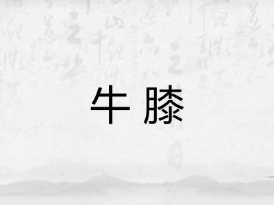 牛膝