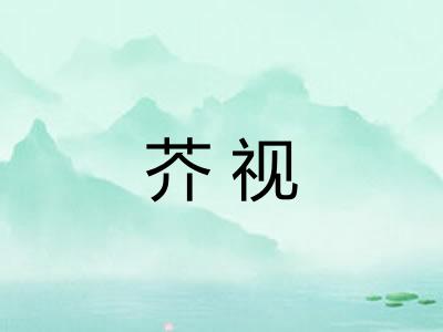 芥视