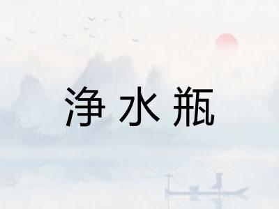 浄水瓶