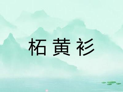 柘黄衫