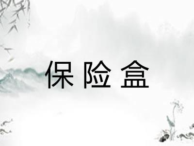 保险盒