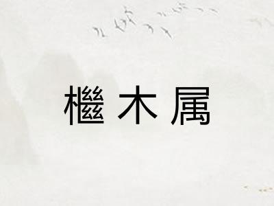 檵木属