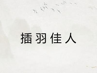 插羽佳人