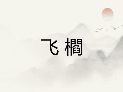 飞櫩