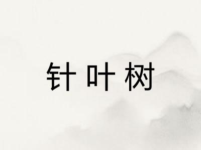 针叶树