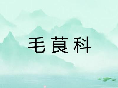 毛茛科