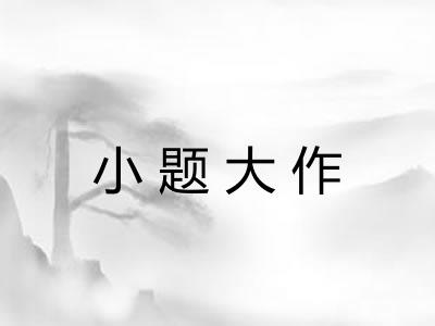 小题大作