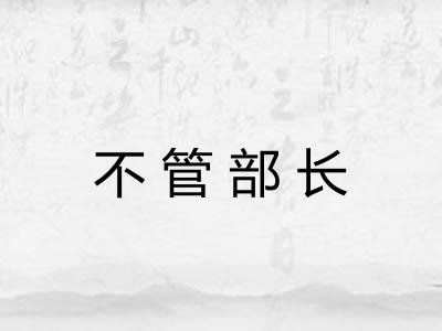 不管部长