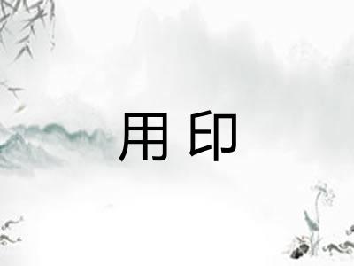 用印