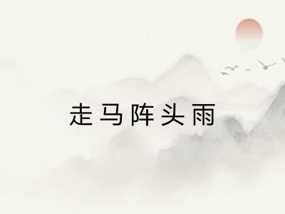 走马阵头雨