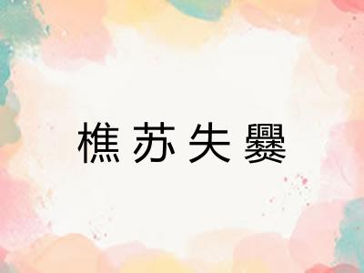樵苏失爨