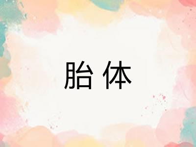 胎体