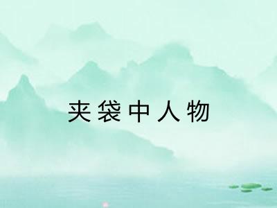 夹袋中人物