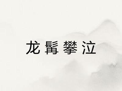 龙髯攀泣