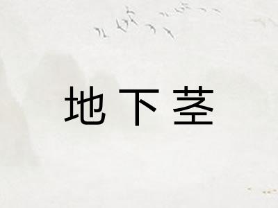 地下茎