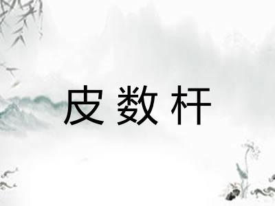 皮数杆