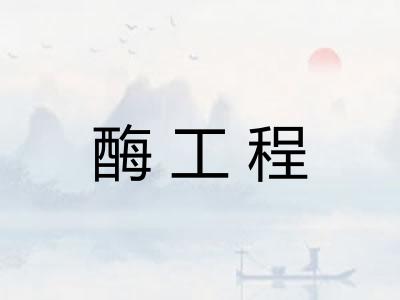 酶工程