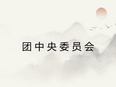 团中央委员会