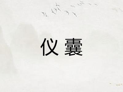 仪囊
