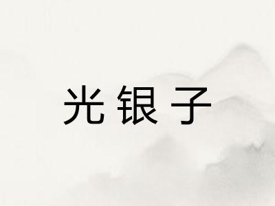 光银子