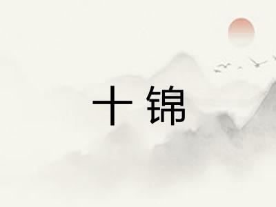 十锦