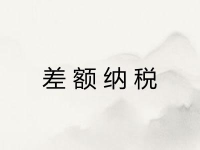差额纳税