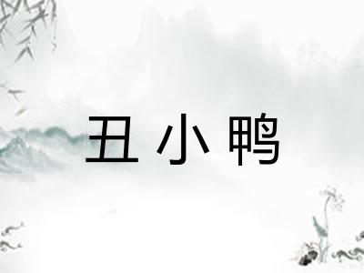丑小鸭