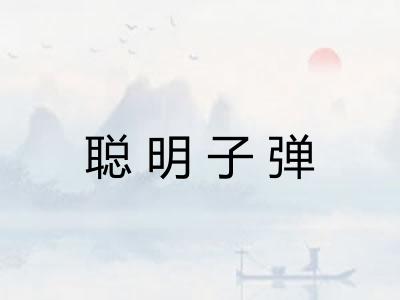 聪明子弹