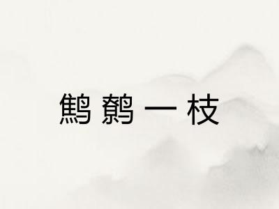 鹪鹩一枝