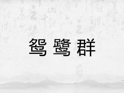 鸳鹭群