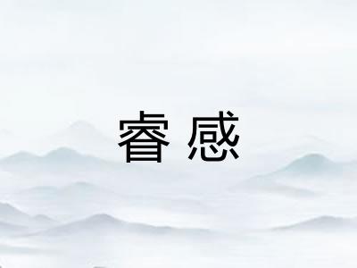 睿感